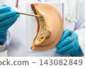 Doctor holding female breast human anatomy model. 143082849