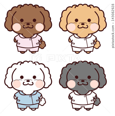 穿著護士服的玩具貴賓犬 穿著護士服的玩具貴賓犬 143082928