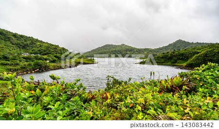 Scenic landscape view of Freshwater Lake surrounded by lush green tropical mountains in Morne Trois Pitons National Park, Dominica. 143083442