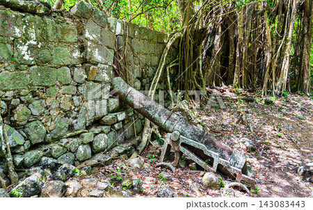 An old historic cannon resting against a mossy stone wall in the lush jungle ruins of Douglas Bay Battery at Cabrits National Park in Dominica. An old historic cannon resting against a mossy stone wall in the lush jungle ruins of Douglas Bay Battery at Cabrits National Park in Dominica. 143083443