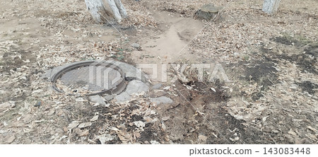 Round metal manhole cover set into damaged concrete on dry ground covered with dry fallen autumn leaves, with tree trunks and a stump nearby in an outdoor area in daylight. Round metal manhole cover set into damaged concrete on dry ground covered with dry fallen autumn leaves, with tree trunks and a stump nearby in an outdoor area in daylight. 143083448