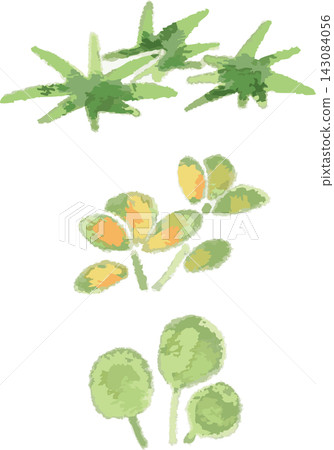 Full-color illustration set of 3 types of aquatic plants, hand-drawn style (aquarium, accent, one-piece set material) Full-color illustration set of 3 types of aquatic plants, hand-drawn style (aquarium, accent, one-piece set material) 143084056