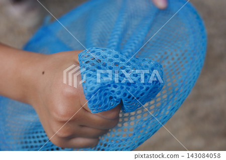 A child's hands catching insects with a blue insect net. A child's hands catching insects with a blue insect net. 143084058