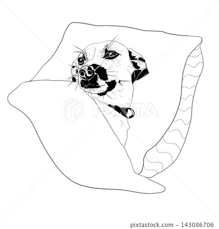 Dog Wrapped in Blanket Black and White Line Art Illustration Dog Wrapped in Blanket Black and White Line Art Illustration 143086706