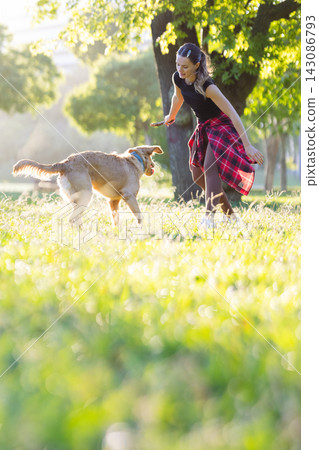 Girl plays with a dog in a park during sunny day surrounded by trees and grass Girl plays with a dog in a park during sunny day surrounded by trees and grass 143086793