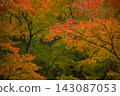 Meiji no Mori Minoo Quasi-National Park, painted in the colors of autumn. 143087053