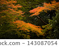 Autumn foliage at Meiji no Mori Minoo Quasi-National Park 143087054