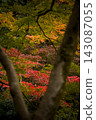Autumn foliage at Meiji no Mori Minoo Quasi-National Park 143087055