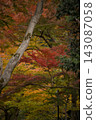 Autumn foliage at Meiji no Mori Minoo Quasi-National Park 143087058
