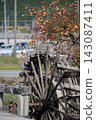 Persimmon trees and the watermill of Niino 143087411