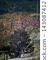 Persimmon trees and the watermill of Niino 143087412