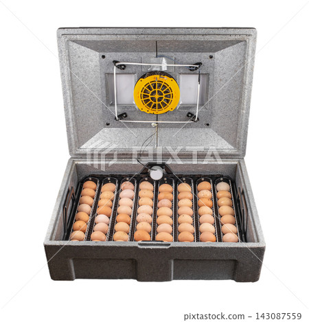 Egg incubator with multiple trays containing brown and white eggs, featuring a yellow fan and temperature control panel, designed for hatching poultry eggs Egg incubator with multiple trays containing brown and white eggs, featuring a yellow fan and temperature control panel, designed for hatching poultry eggs 143087559
