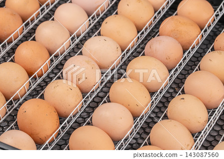 Fresh brown and white eggs arranged neatly in wire trays, showcasing various shades and textures, displayed in a commercial egg production facility Fresh brown and white eggs arranged neatly in wire trays, showcasing various shades and textures, displayed in a commercial egg production facility 143087560