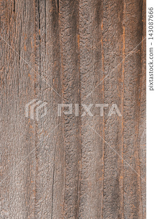 Close-up view of textured wooden surface showcasing natural patterns and grain variations, highlighting the rustic charm of aged timber in a neutral setting Close-up view of textured wooden surface showcasing natural patterns and grain variations, highlighting the rustic charm of aged timber in a neutral setting 143087666