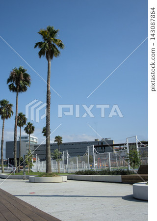 Tall fan palms on a new paved waterfront plaza in front of a modern grey building Tall fan palms on a new paved waterfront plaza in front of a modern grey building 143087864