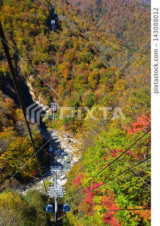 Autumn, Naeba Plateau, Dragondola Autumn, Naeba Plateau, Dragondola 143088012