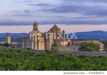 Royal Abbey of Santa Maria de Poblet, cistercian monastery, Catalonia, Spain Royal Abbey of Santa Maria de Poblet, cistercian monastery, Catalonia, Spain 143088813