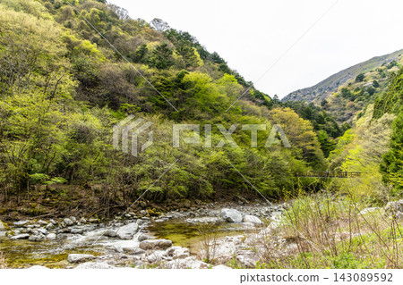 A mountain path along a river in a valley surrounded by fresh greenery. A mountain path along a river in a valley surrounded by fresh greenery. 143089592