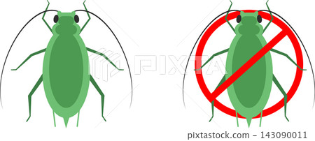 Aphid plant pest illustration sap sucking insect and corp damage 143090011