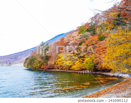 Autumn in Oku-Nikko, Tochigi Prefecture, at the shores of Lake Chuzenji, adorned with autumn leaves. Autumn in Oku-Nikko, Tochigi Prefecture, at the shores of Lake Chuzenji, adorned with autumn leaves. 143090112