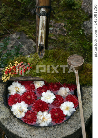 New Year's flower chozuya New Year's flower chozuya 143091250