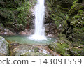 鬱鬱蔥蔥的瀑布和山谷 143091559