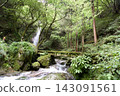 森林瀑布、苔蘚覆蓋的橋樑和溪流 143091561