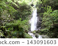 清新的綠色植物和瀑布的自然景色 143091603