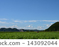 夏天蔚藍的天空與廣闊的田野 143092044
