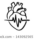 Human anatomical heart outline illustration with heartbeat pulse line 143092565
