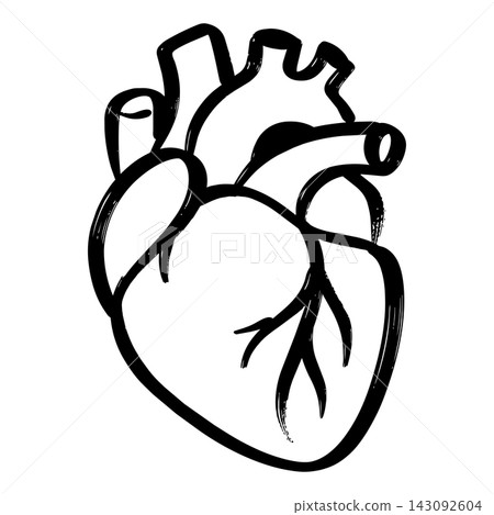 Hand drawn human organ heart vector line art illustration for medical infographic and cardiology Hand drawn human organ heart vector line art illustration for medical infographic and cardiology 143092604