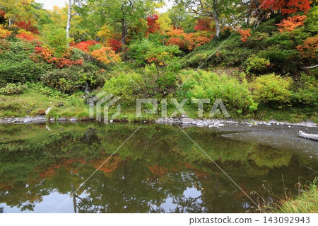 Autumn leaves reflected in a pond Autumn leaves reflected in a pond 143092943