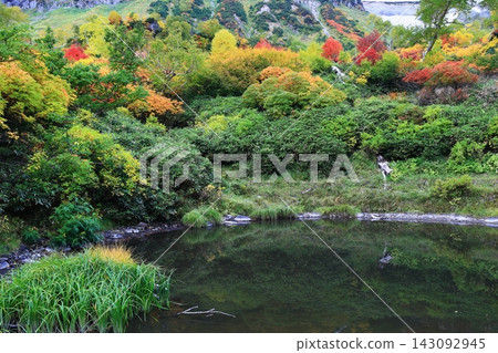 秋葉在池塘反射了 秋葉在池塘反射了 143092945