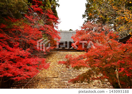 秋葉環繞的神吾寺:楓樹環繞的景色,以及京都著名的賞楓勝地-神吾寺。 秋葉環繞的神吾寺:楓樹環繞的景色,以及京都著名的賞楓勝地-神吾寺。 143093188
