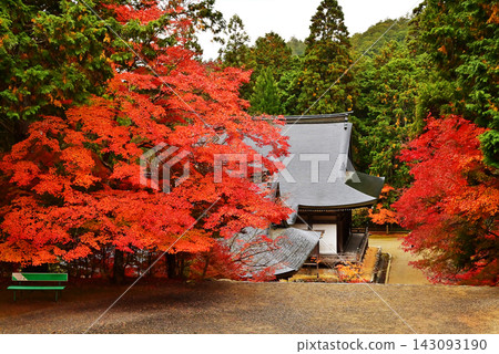 秋葉環繞的神吾寺：楓樹環繞的景色，以及京都著名的賞楓勝地－神吾寺。 143093190