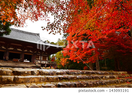 秋葉環繞的神吾寺:楓樹環繞的景色,以及京都著名的賞楓勝地-神吾寺。 秋葉環繞的神吾寺:楓樹環繞的景色,以及京都著名的賞楓勝地-神吾寺。 143093191
