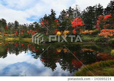 Autumn leaves reflected on the water 143093214