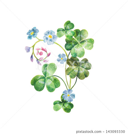 Sprig bouquet of four-leaf clover and forget-me-not hand drawing watercolor illustration. Isolated botanical element for St. Patrick's Day, Celtic folklore, wedding floral invitations, spring design. Sprig bouquet of four-leaf clover and forget-me-not hand drawing watercolor illustration. Isolated botanical element for St. Patrick's Day, Celtic folklore, wedding floral invitations, spring design. 143093330