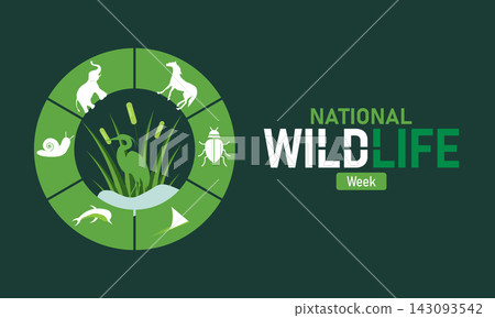 National Wildlife Week Vector Animals Forest Conservation Nature Protection Biodiversity Ecosystem Wildlife Habitat April Banner Design Awareness Stock Graphic Template National Wildlife Week Vector Animals Forest Conservation Nature Protection Biodiversity Ecosystem Wildlife Habitat April Banner Design Awareness Stock Graphic Template 143093542