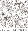 Seamless pattern with hand drawn ink engraving of autumn leaves, berries, physalis and ladybugs. Black and white botanical outline illustration. 143094432