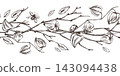 Hand drawn ink illustration of physalis branches with leaves and ladybug in engraving style. Seamless autumn border pattern with detailed botanical sketch. 143094438