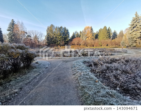 Frost Covered Garden Path Leading Through Trees on a Clear late autumn Morning Frost Covered Garden Path Leading Through Trees on a Clear late autumn Morning 143094671