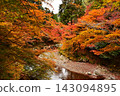 Kyoto's Kiyotaki River and Autumn Foliage: A vibrant scene of autumn leaves and the river, a popular Kyoto tourist spot. 143094895