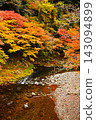 Kyoto's Kiyotaki River and Autumn Foliage: A vibrant scene of autumn leaves and the river, a popular Kyoto tourist spot. 143094899