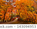 Autumn foliage scenery at Seimeiji Temple; a famous spot for autumn leaves in Kyoto; a popular tourist spot in Kyoto. 143094953