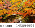 Autumn foliage scenery at Seimeiji Temple; a famous spot for autumn leaves in Kyoto; a popular tourist spot in Kyoto. 143094954