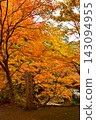 Autumn foliage scenery at Seimeiji Temple; a famous spot for autumn leaves in Kyoto; a popular tourist spot in Kyoto. 143094955