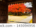 Autumn foliage scenery at Seimeiji Temple; a famous spot for autumn leaves in Kyoto; a popular tourist spot in Kyoto. 143094956