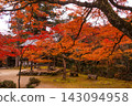 Autumn foliage scenery at Seimeiji Temple; a famous spot for autumn leaves in Kyoto; a popular tourist spot in Kyoto. 143094958
