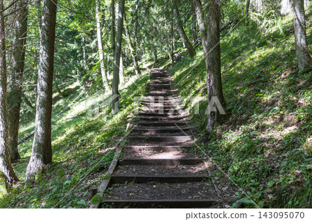 Wooden steps leading uphill on a hiking trail in forest Wooden steps leading uphill on a hiking trail in forest 143095070